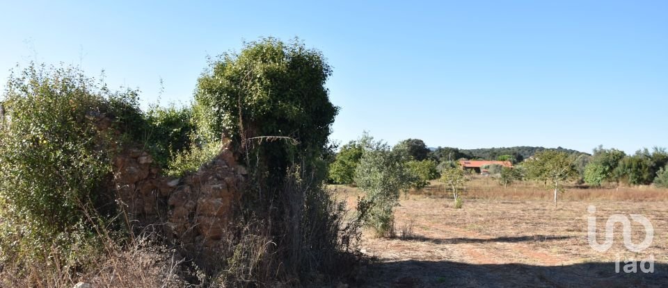 Building land in Areias e Pias of 8,120 m²