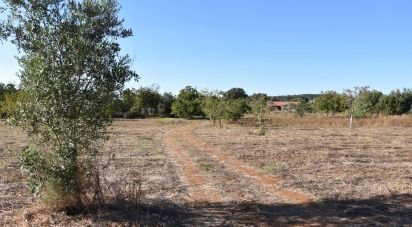 Building land in Areias e Pias of 8,120 m²