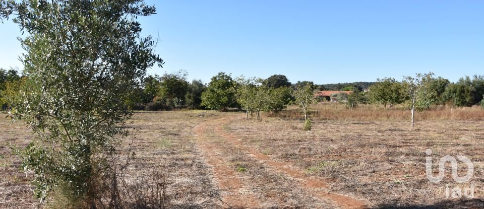 Building land in Areias e Pias of 8,120 m²