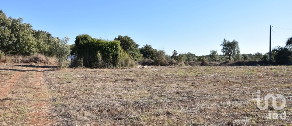 Building land in Areias e Pias of 8,120 m²