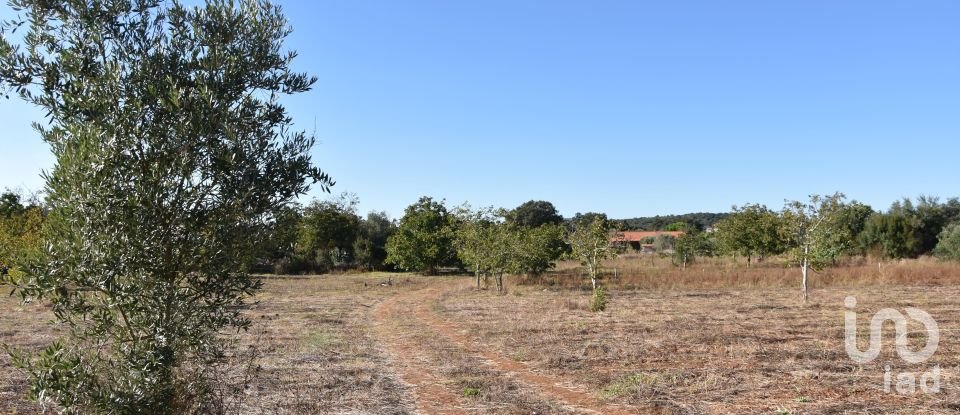 Building land in Areias e Pias of 8,120 m²