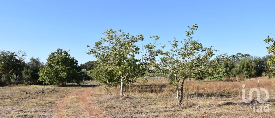 Terrain à bâtir à Areias e Pias de 8 120 m²