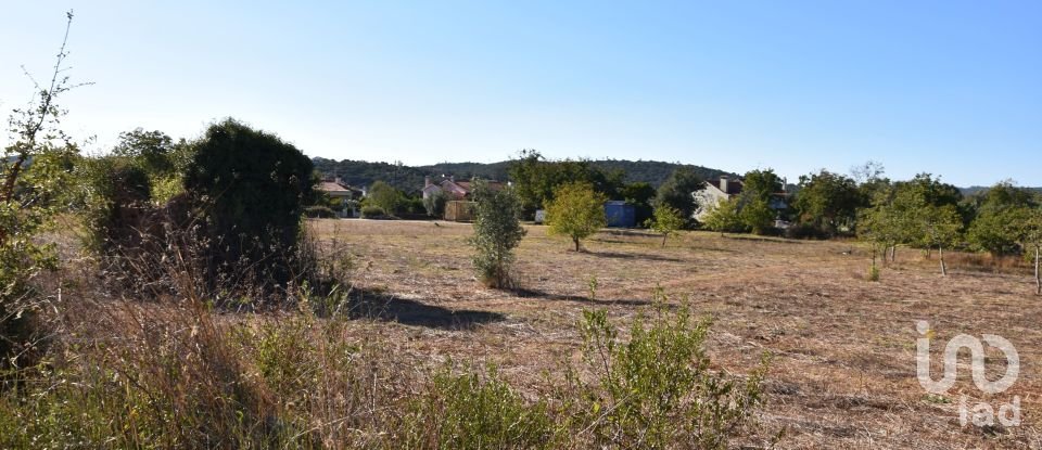 Building land in Areias e Pias of 8,120 m²