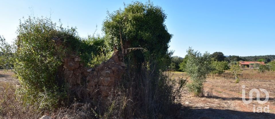 Building land in Areias e Pias of 8,120 m²