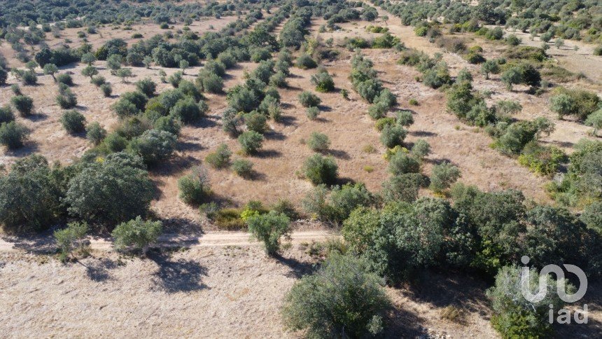 Land in Areias e Pias of 7,880 m²