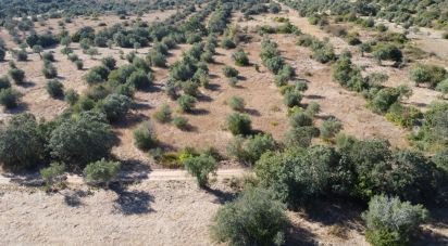 Land in Areias e Pias of 7,880 m²