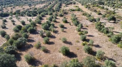 Land in Areias e Pias of 7,880 m²