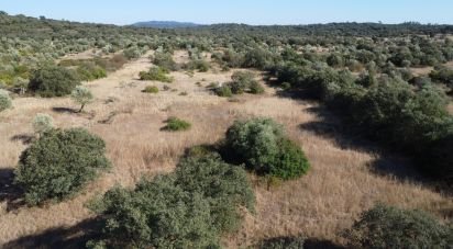 Land in Areias e Pias of 7,880 m²