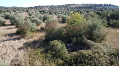 Land in Areias e Pias of 7,880 m²