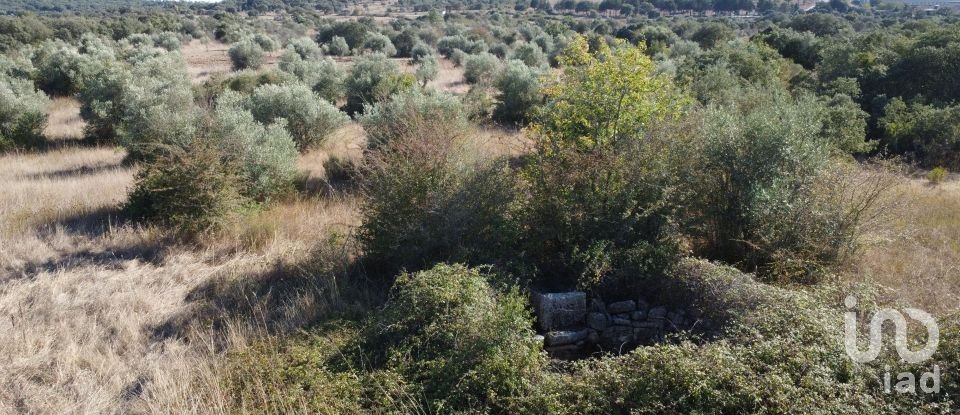 Land in Areias e Pias of 7,880 m²