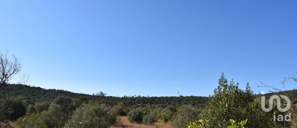 Terreno em Areias e Pias de 7 880 m²