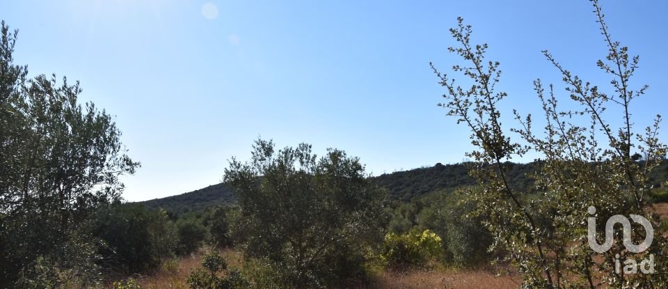 Land in Areias e Pias of 7,880 m²