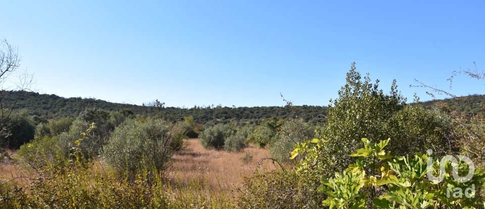 Terreno em Areias e Pias de 7 880 m²