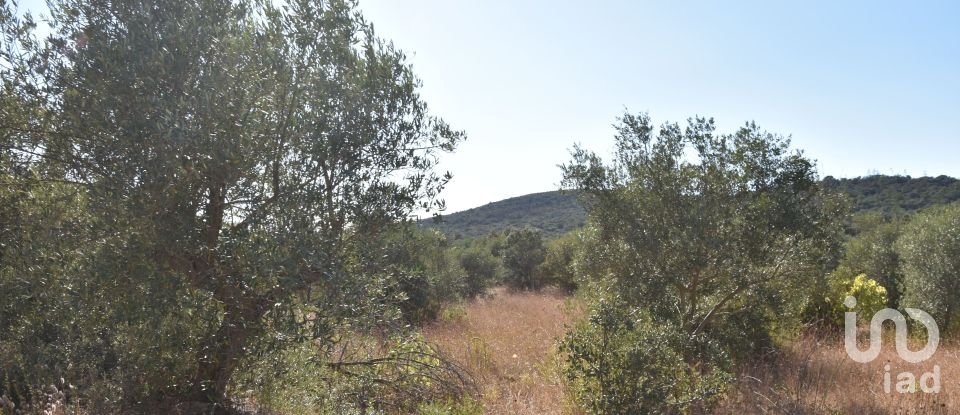 Land in Areias e Pias of 7,880 m²