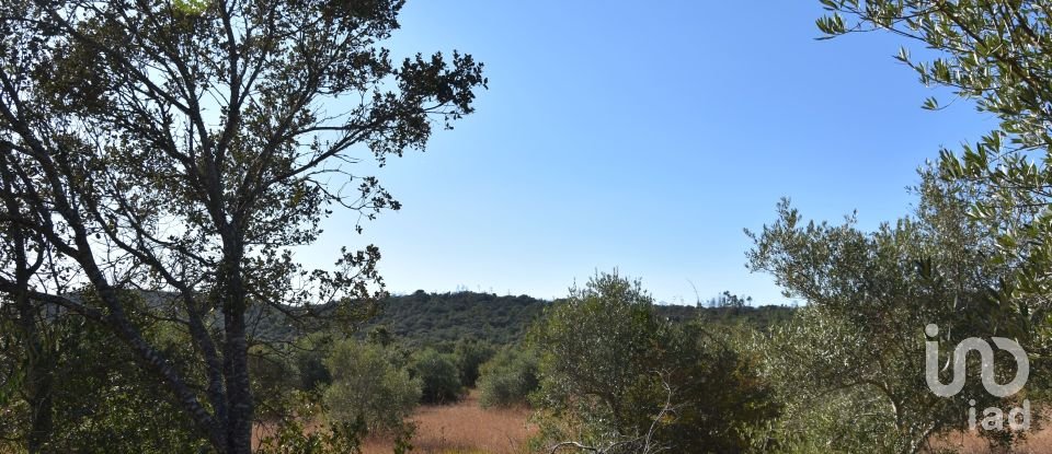 Land in Areias e Pias of 7,880 m²