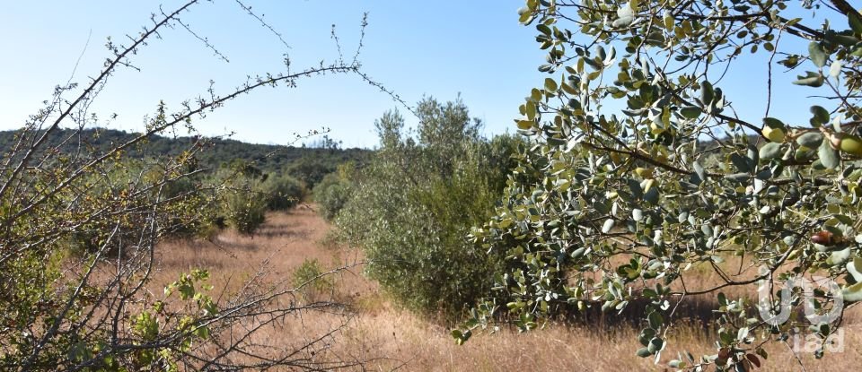 Land in Areias e Pias of 7,880 m²