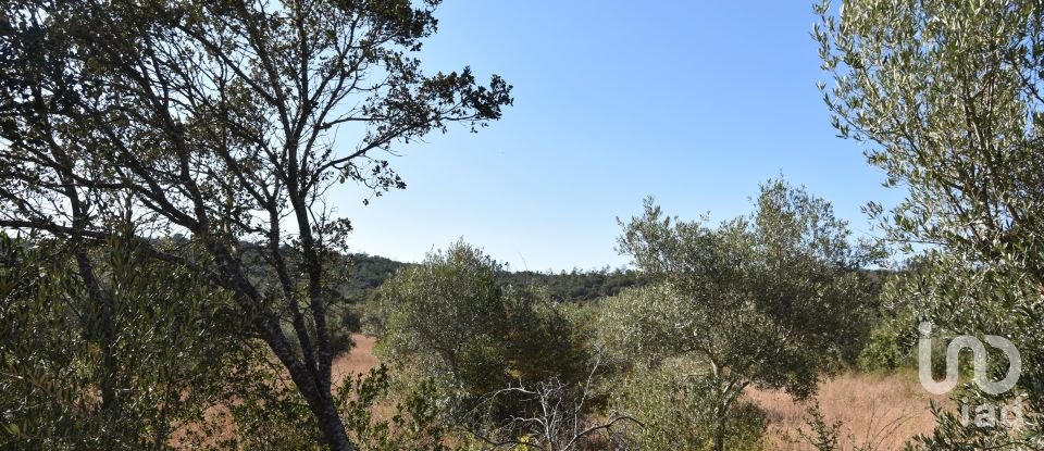 Land in Areias e Pias of 7,880 m²