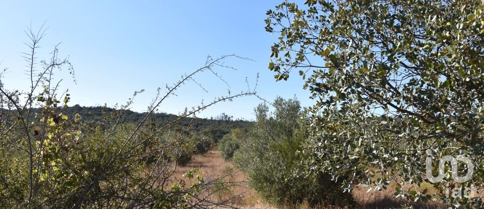 Terreno em Areias e Pias de 7 880 m²