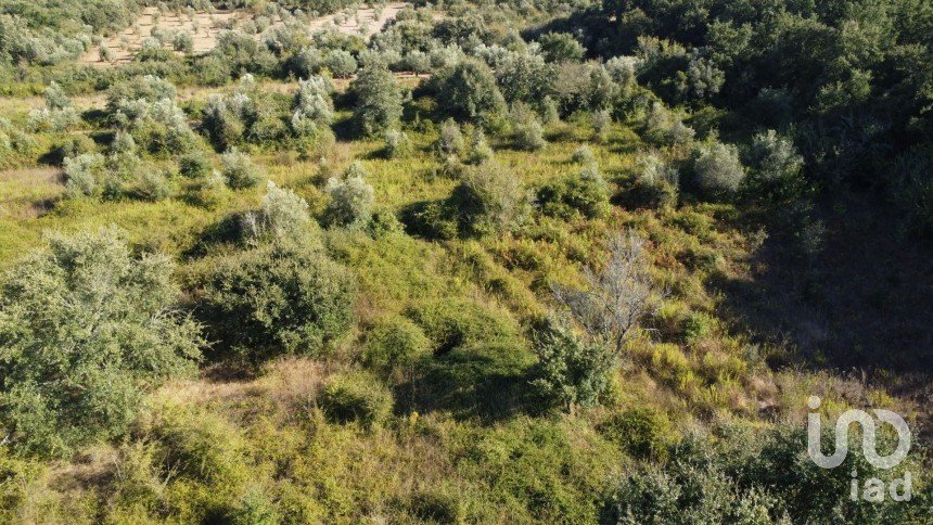 Land in Areias e Pias of 1,850 m²