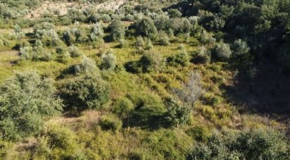 Land in Areias e Pias of 1,850 m²