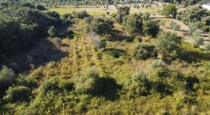 Land in Areias e Pias of 1,850 m²