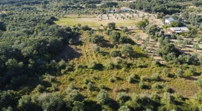 Land in Areias e Pias of 1,850 m²