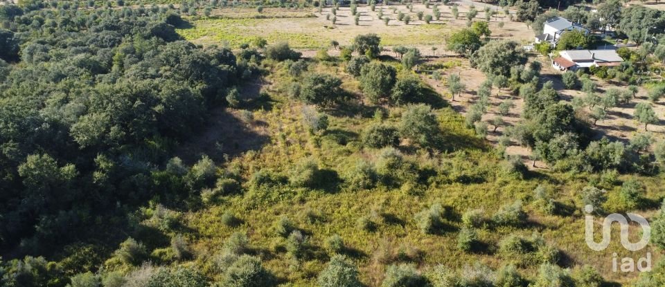 Terreno em Areias e Pias de 1 850 m²