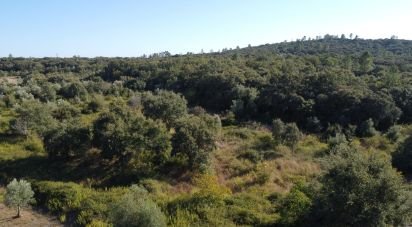 Land in Areias e Pias of 1,850 m²