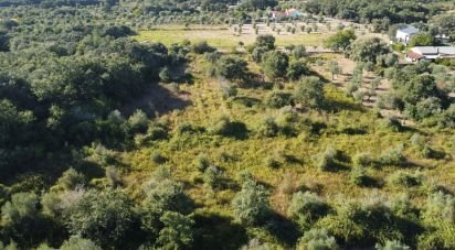 Land in Areias e Pias of 1,850 m²