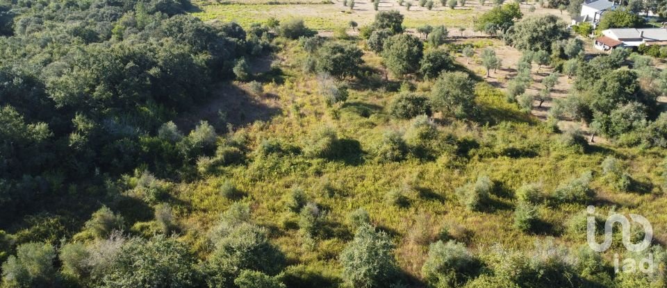 Land in Areias e Pias of 1,850 m²