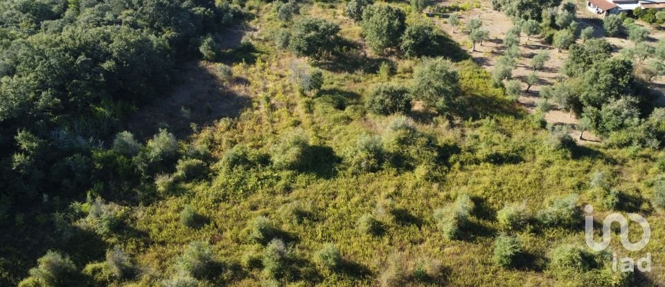 Land in Areias e Pias of 1,850 m²