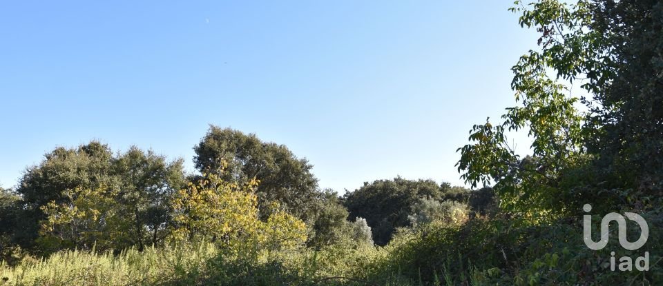 Terreno em Areias e Pias de 1 850 m²