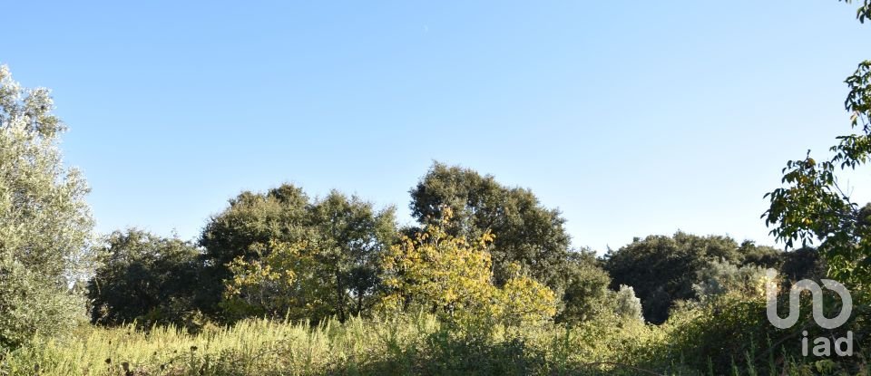 Terreno em Areias e Pias de 1 850 m²