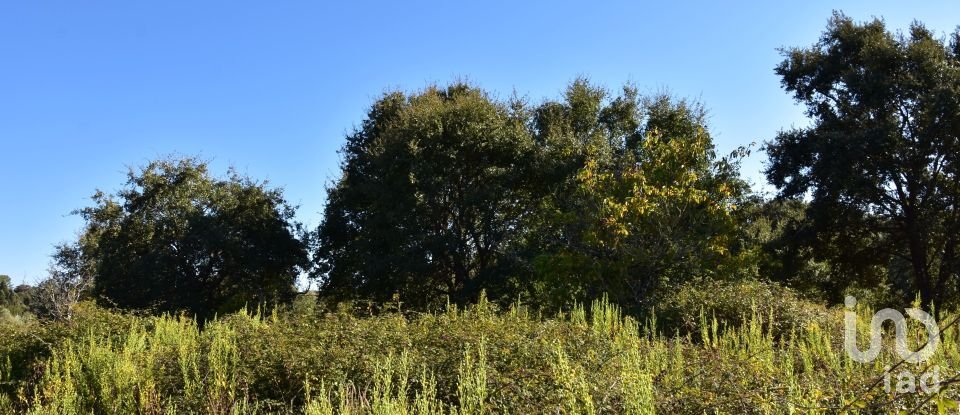 Terreno em Areias e Pias de 1 850 m²