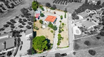 Maison de campagne T3 à Achete, Azoia De Baixo e Póvoa de Santarém de 333 m²