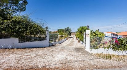 Country house T3 in Achete, Azoia De Baixo e Póvoa de Santarém of 333 m²