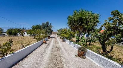 Maison de campagne T3 à Achete, Azoia De Baixo e Póvoa de Santarém de 333 m²