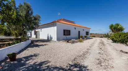 Casa de Campo T3 em Achete, Azoia De Baixo e Póvoa de Santarém de 333 m²