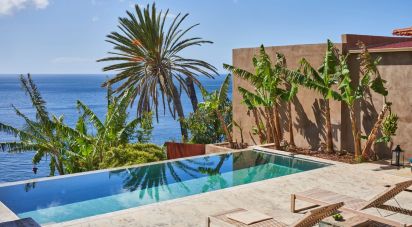 Casa / Villa T2 em Funchal (Santa Maria Maior) de 415 m²