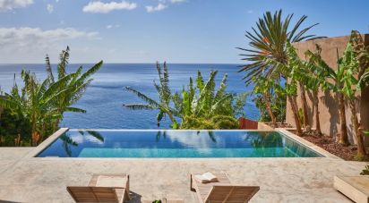 House T2 in Funchal (Santa Maria Maior) of 415 m²