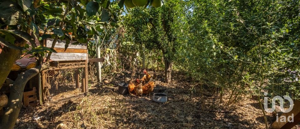 Maison de campagne T3 à Tornada e Salir do Porto de 141 m²