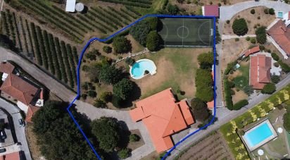 Quinta T7 em Cabeça Santa de 707 m²