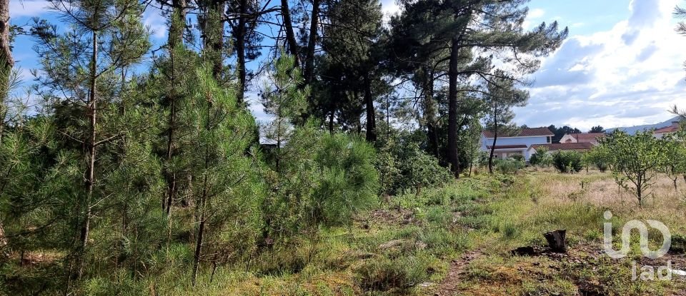 Terreno para construção em Vale de Anta de 3 750 m²