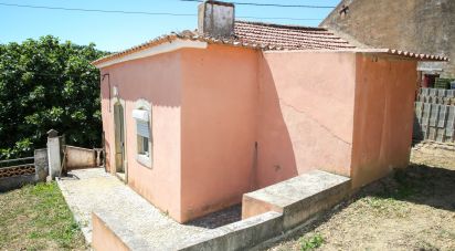 Village house T2 in Ventosa of 54 m²