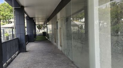 Shop / premises commercial in Funchal (Sé) of 200 m²