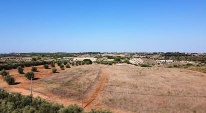 Terrain à bâtir à Abitureiras de 42 360 m²