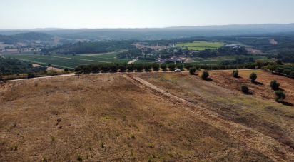 Building land in Abitureiras of 42,360 m²