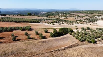 Building land in Abitureiras of 42,360 m²