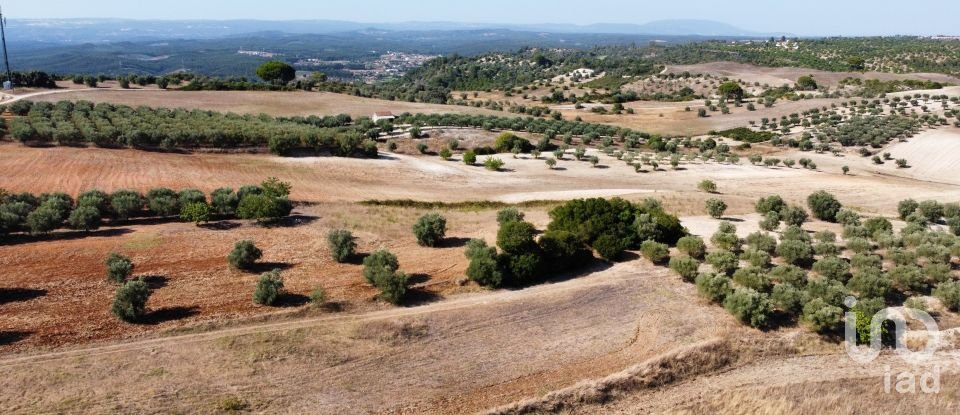 Building land in Abitureiras of 42,360 m²