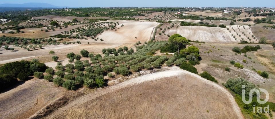 Building land in Abitureiras of 42,360 m²